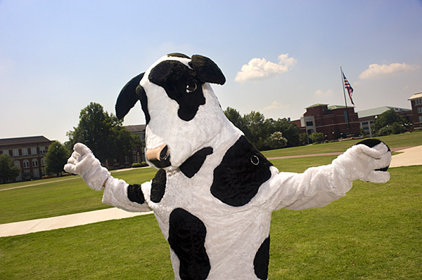 Cow Appreciation Day by Chick-fil-A