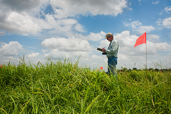 Herbicide Research on North Farm