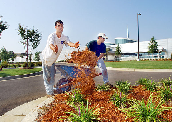 Mulching Hunter Henry Center