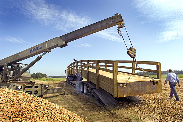 Unloading bridge for new rose garden at North Farm