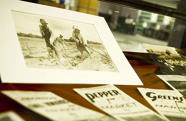 Extension Display at Mitchell Memorial Library