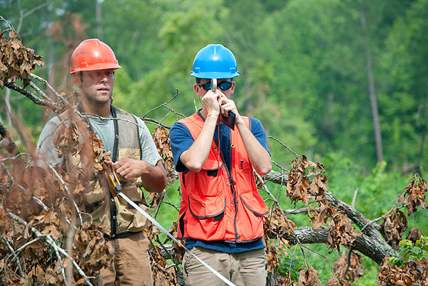 Students measuring tree heights