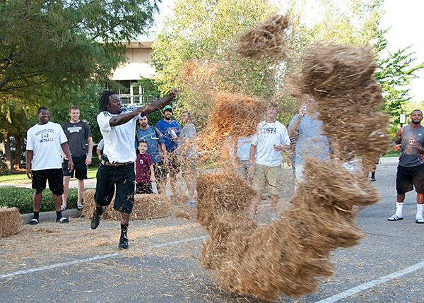 Beefing up the Bulldogs