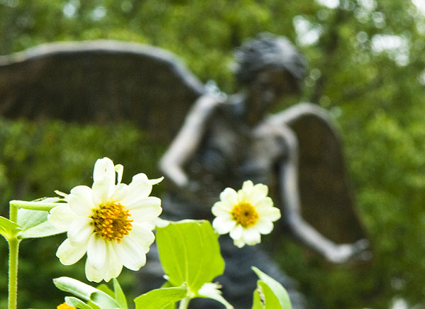 Angel and a flower