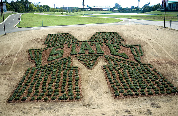 M-State landscaped into North Entrance