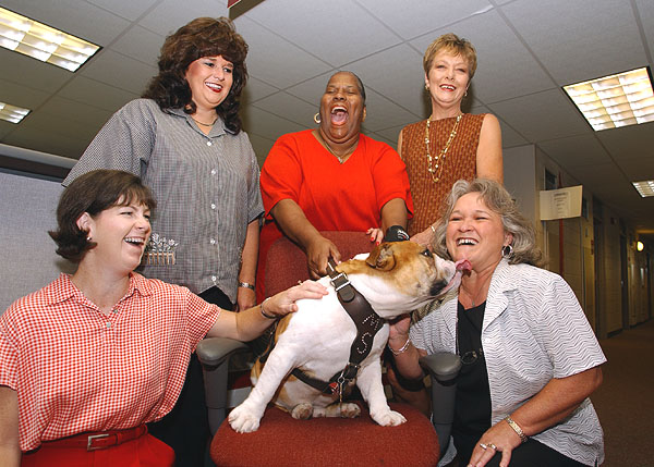 Bully visits Registrar office