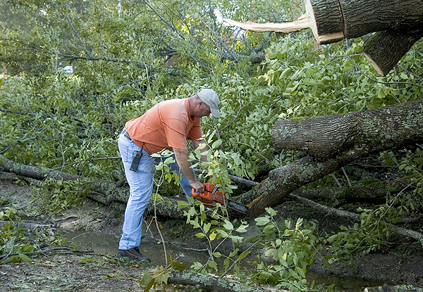 Campus Landscape cuts up tree after Hurrican Ivan