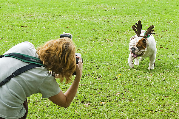 Bulldog Photo shoot