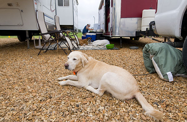 Hurricane Gustav Evacuees stay at MSU&amp;amp;amp;#039;s Horse Park