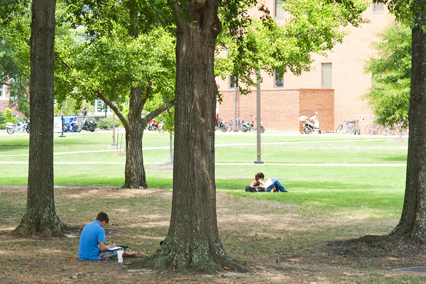 Students studying in the shade