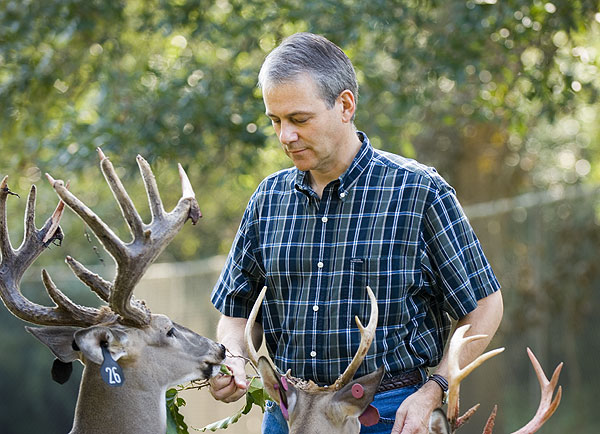 Steve Demarais feeds deer