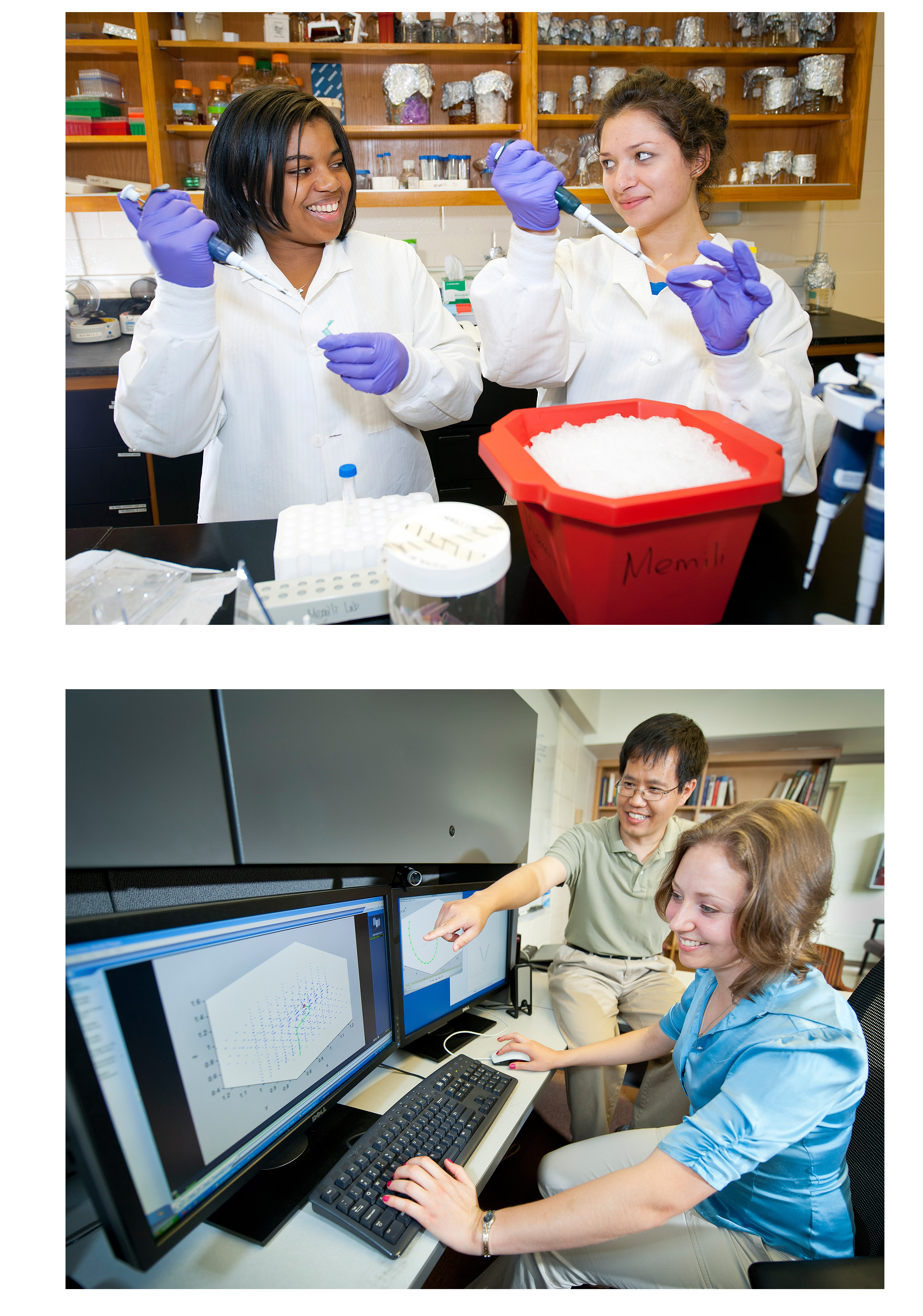 (Top photo) MSU senior Lauren Belser of Huntsville, Ala., left, and junior Elizabeth Crate, a New College of Florida biology major, are participants in National Science Foundation-supported undergraduate research programs. Both work in the laboratory of animal functional genomics at MSU's animal and dairy sciences department.</p><br />
<p>(Bottom photo) MSU assistant professor Xingzhou Yang provides guidance for a mathematical visualization program used by Olga Stulov of the State University of New York at New Paltz. They are part of MSU's National Science Foundation-funded Research Experiences for Undergraduates.  