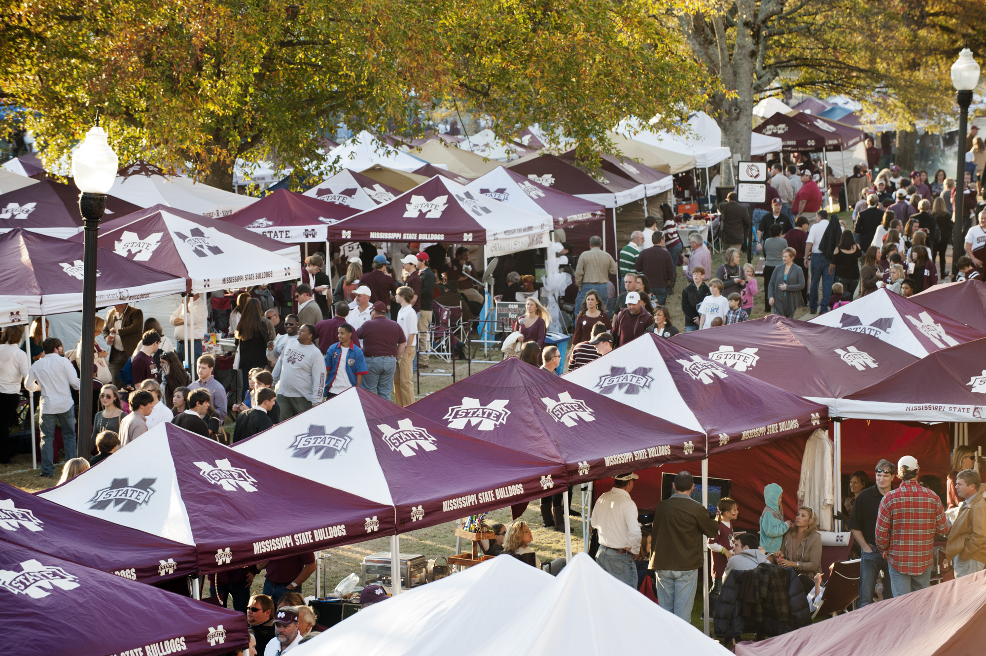 Game day at Mississippi State just got even better with the addition of a new fan website, www.fanguide.msstate.edu.