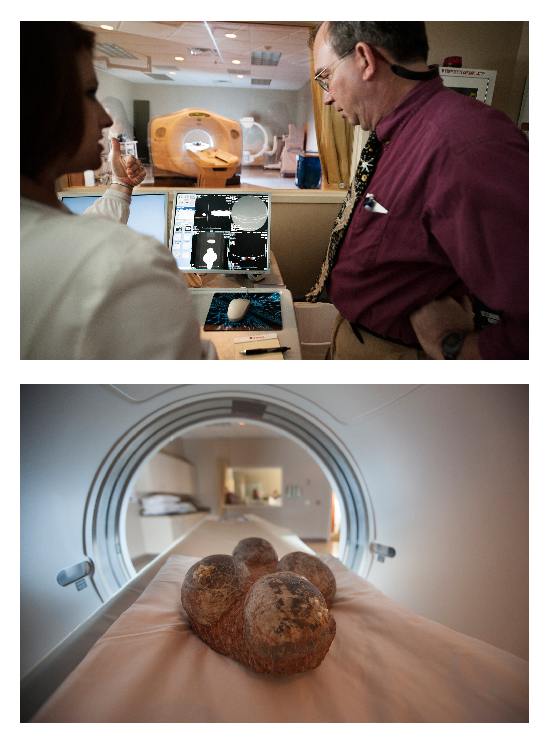 Top: Robin Luke, left, director at Premier Imaging of Starkville, explains how data sets of images are created through the LightSpeed VCT 64-Slice CT Scanner to MSU doctoral student John Paul Jones, owner of the dinosaur eggs fossil Luke scanned. Using the detail provided by the images, Jones hopes to be able to identify the species of dinosaur inside the eggs.</p><br />
<p>Bottom: Four fossilized dinosaur eggs, part of a clutch found approximately one decade ago by MSU doctoral degree candidate John Paul Jones, imaged by a high-resolution CT Scanner, a research tool available because of a partnership between the university's Institute for Imaging & Analytical Technology and Premier Imaging of Starkville.<br /><br />
