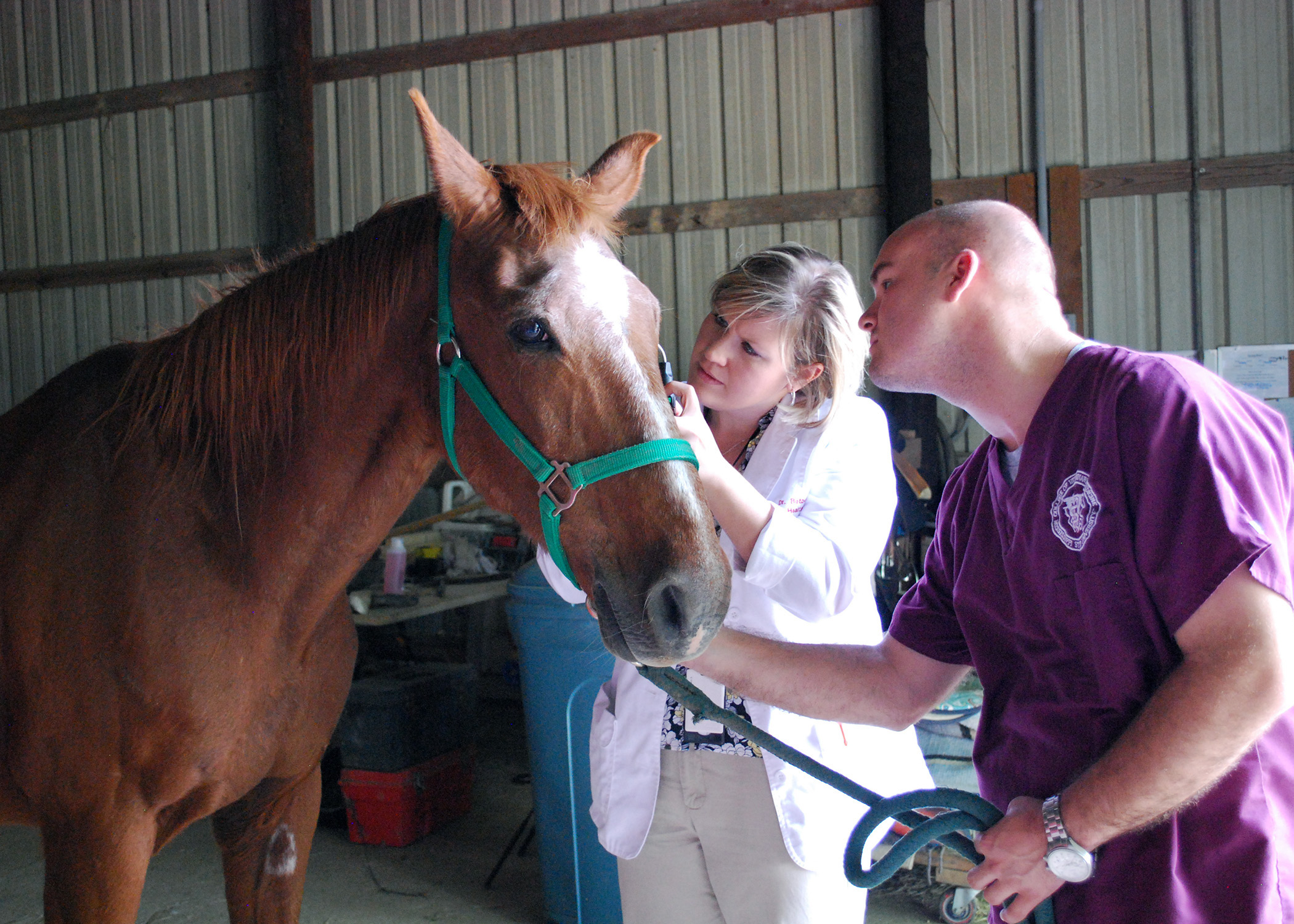 Dr. Caroline Betbeze of MSU's College of Veterinary Medicine will be providing free eye exams next month for certified service animals in the area. Last year, she performed the service for horses at Palmer Home in Columbus, with assistance of veterinary student Steven Davison. 