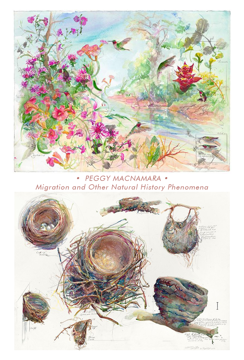 TOP: "Hummingbirds" by Peggy Macnamara</p><br />
<p><br />BOTTOM: "Birdvarie" by Peggy Macnamara<br /><br />
