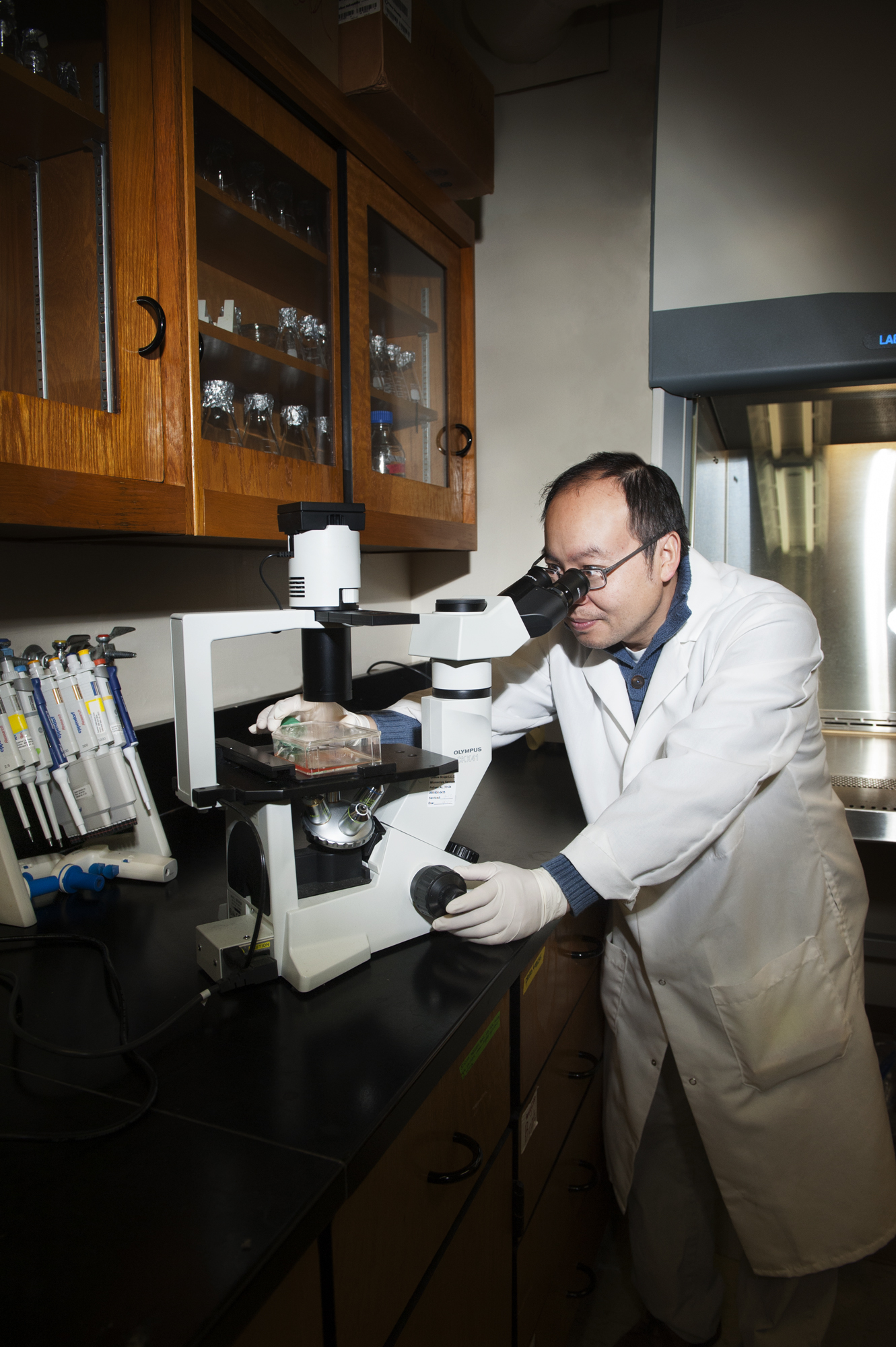 Dr. Henry Wan, associate professor of systems biology, works in his lab at MSU's College of Veterinary Medicine.