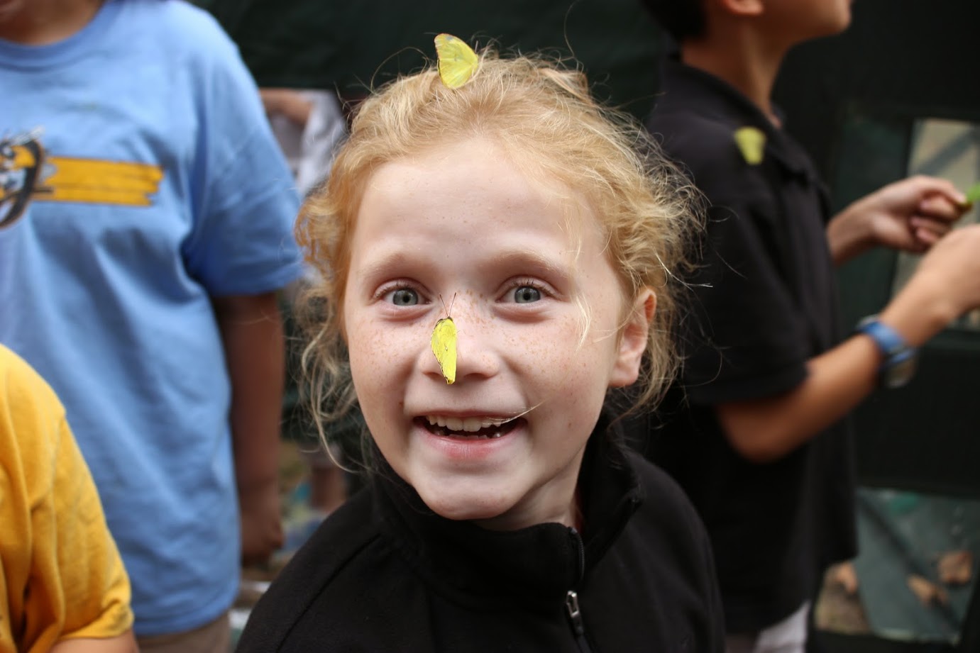 Anna Leslie Potts enjoyed a close look at butterflies during a recent Starkville School District Science Club outreach event organized by MSU faculty in the biological sciences and landscape architecture departments.