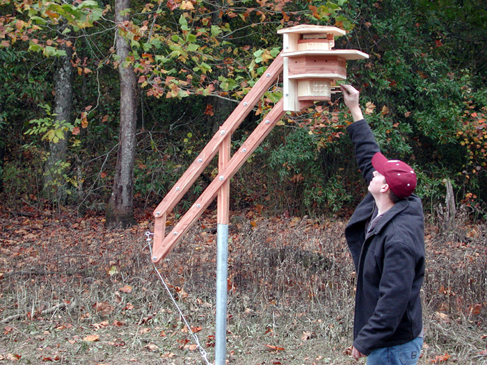 <br /><br />
MSU architecture major Marshall Graves of Jackson with the bird dwelling he designed. 