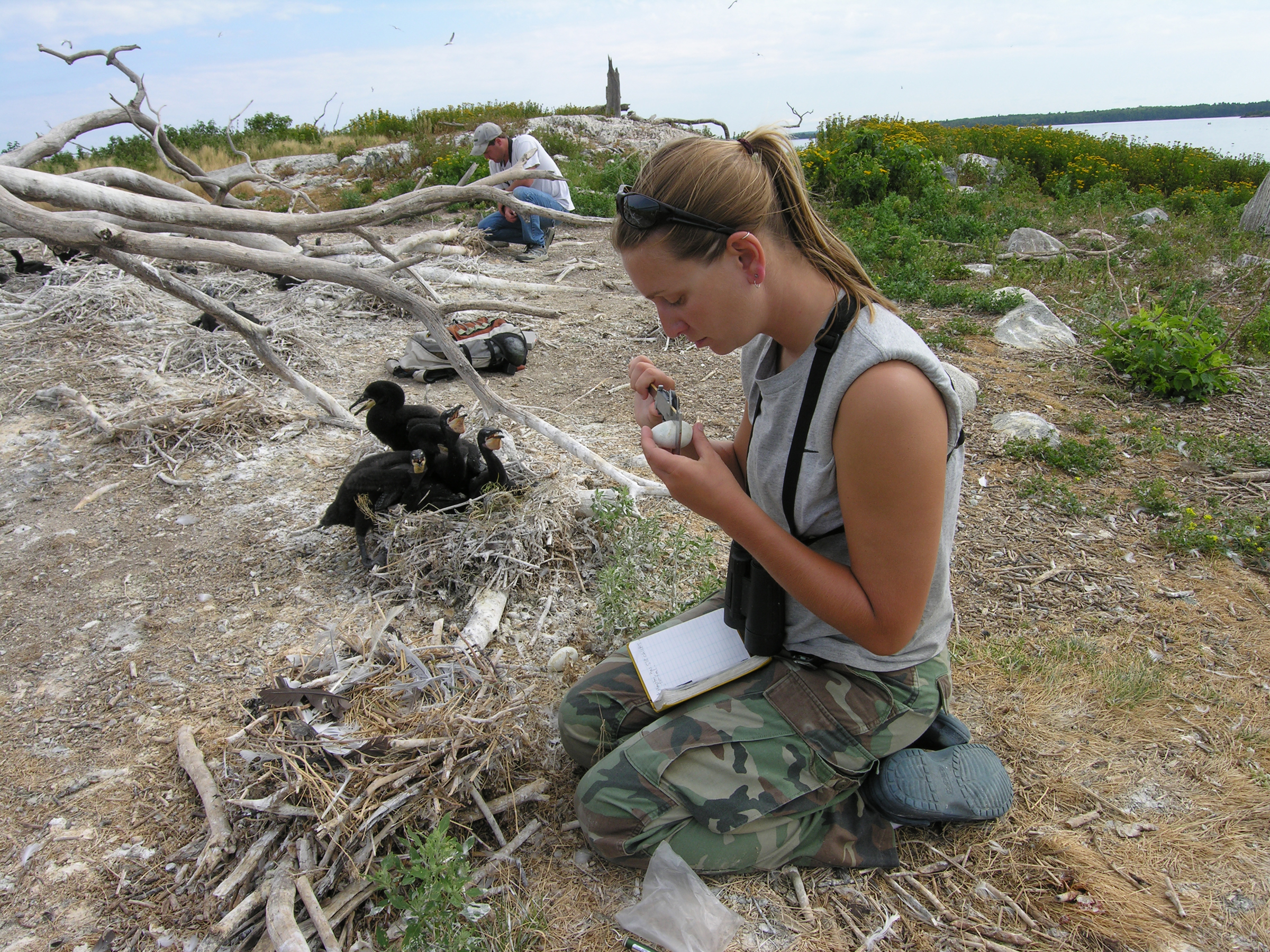 Jennifer Chastant among the "sea crows"