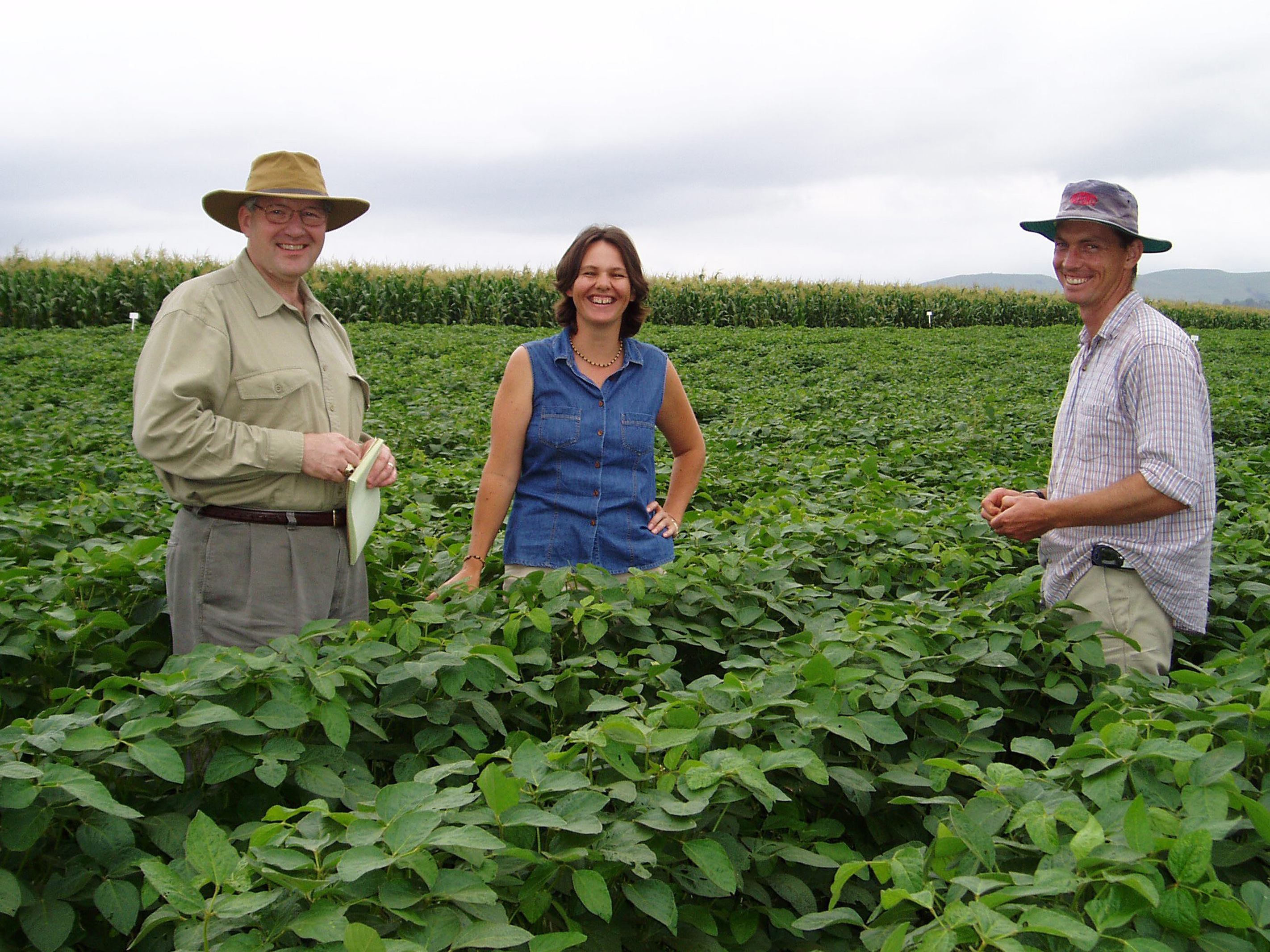 Mississippi State scientist Roger King (l-r), associate research director of the university's GeoResources Institute, and South African plant specialists Eve duPreez and Neil van Rij inspect a soybean field at the Cedara research farm in South Africa. They were looking for signs of soybean rust, a devastating crop disease that is the focus of a GRI study on potential threats of biological terrorism.